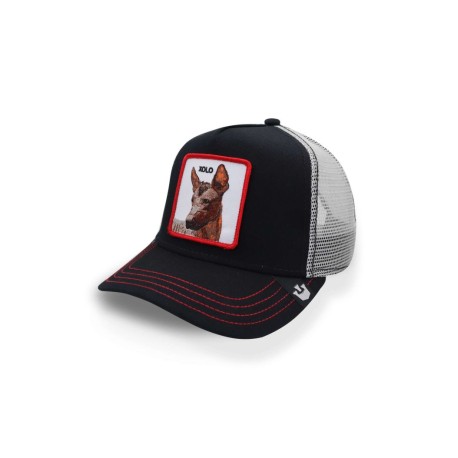 Gorra Goorin Bros 101-0187 Yolo Xolo Negro Unitalla